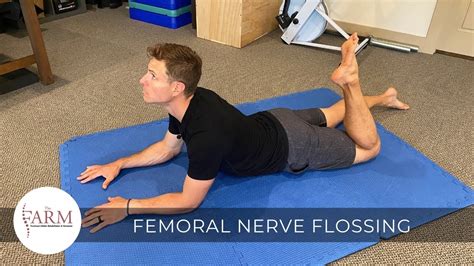 Then, flatten the lower back by reversing the extension and flex the knee by bringing the heel closer to the butt and extend the hip back while you extend the neck backwards. . Femoral nerve exercises pdf